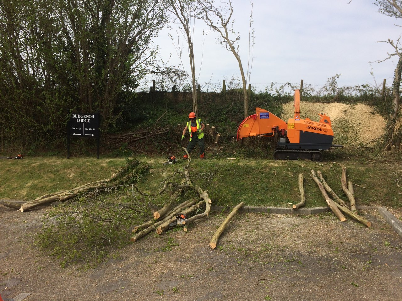  Tree clearance 