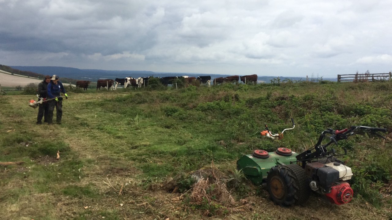  Flail mowing and strimming 